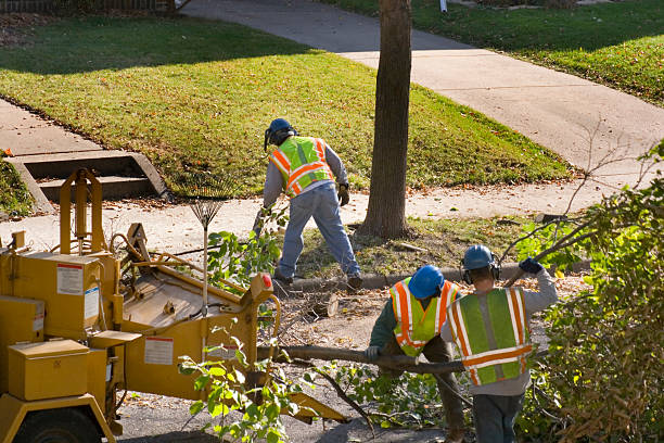 Best Leaf Removal  in Glen Lyon, PA